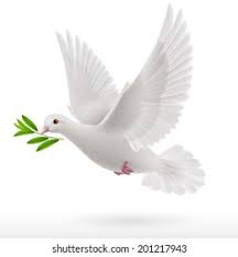 Peace Dove and Olive Branch 2