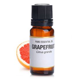 Grapefruit essential oil 10ml (Option: 10ML)